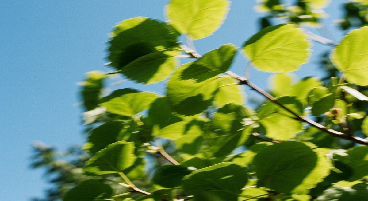 風 が 強い 韓国 語